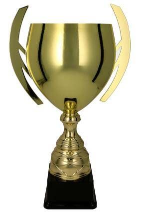 Pokal