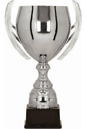 Pokal