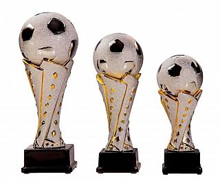 Pokal