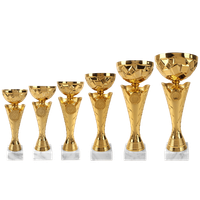 Pokal